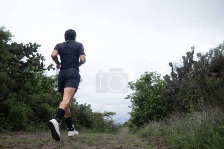 Ein Mann findet beglückende Freude beim Laufen durch vielfältige Landschaften - Straßen, Wege und Wälder - zwischen Bäumen, Gras und Himmel
