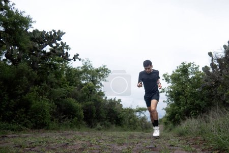 A runner in motion on asphalt and grass, merging endurance sports with serene landscapes of trees and hills.