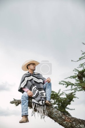 A cowboy wearing a poncho sitting under a tree in the sky
