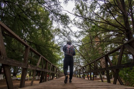 Foto de Embárcate en un tranquilo paseo a través del puente Media Luna, rodeado de abrazos de la naturaleza. Disfrute de la vista panorámica, árboles exuberantes y un ambiente tranquilo. - Imagen libre de derechos