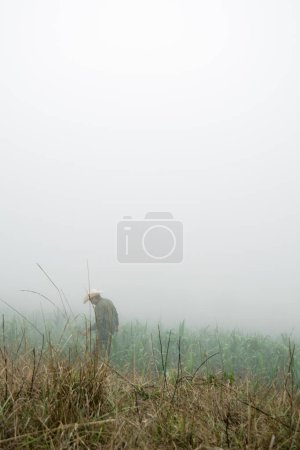 A man with cowboy boots strolls amidst the fog covered grasslands of Mexican Hat, embracing the serene beauty of nature.