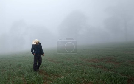 Foto de Un hombre vaquero caminando entre un bosque brumoso con espacio para el texto - Imagen libre de derechos