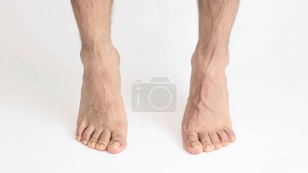 Foto de Un pie adulto visto desde el tobillo interior, de pie de puntillas, pie izquierdo con espacio para el texto, fondo blanco, pie completo - Imagen libre de derechos