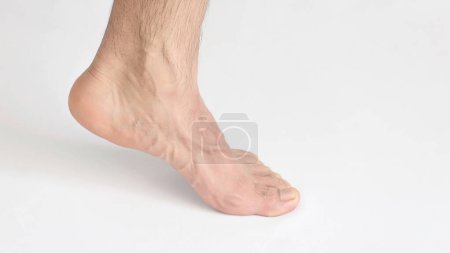 Foto de Un pie adulto visto desde el tobillo interior, de pie de puntillas, pie izquierdo con espacio para el texto, fondo blanco, pie completo - Imagen libre de derechos