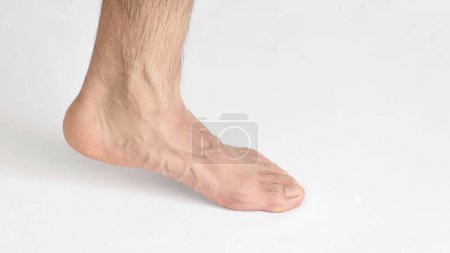Foto de Un pie adulto visto desde el tobillo interior, de pie de puntillas, pie izquierdo con espacio para el texto, fondo blanco - Imagen libre de derechos