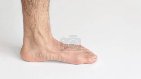 Foto de Una vista interior del tobillo del hombre adulto, sobre un fondo blanco con espacio para el texto, pie izquierdo, pie completo - Imagen libre de derechos
