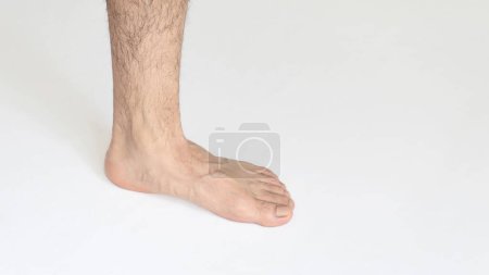 Foto de Un pie adulto sobre fondo blanco con espacio para el texto, vista del tobillo interior - Imagen libre de derechos