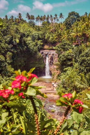 Foto de La cascada de Tegenungan en la selva de la isla de Bali, Indonesia. Una cascada en un bosque tropical. Foto de alta calidad - Imagen libre de derechos