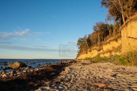 Téléchargez les photos : Côte escarpée à la brousse noire avec mer et ciel bleu, sur l'île de Poel sur la mer Baltique, Allemagne - en image libre de droit