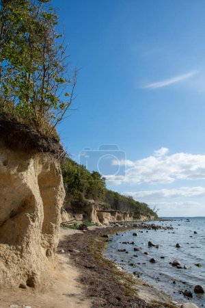 Photo for Steep coast on the black bush with many large stones in the sea, on the island of Poel on the Baltic Sea, Germany - Royalty Free Image