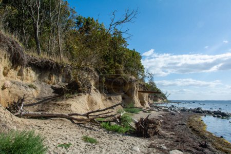 Côte escarpée sur le buisson noir avec beaucoup de grandes pierres dans la mer, sur l'île de Poel sur la mer Baltique, Allemagne