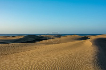 En las dunas de Maspalomas en Gran Canaria en España. Vista al mar, con cielo azul. Las enormes dunas de arena se parecen a un pequeño desierto y son una reserva natural.