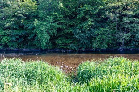Die Eder - ein Fluss in Deutschland in grüner Landschaft