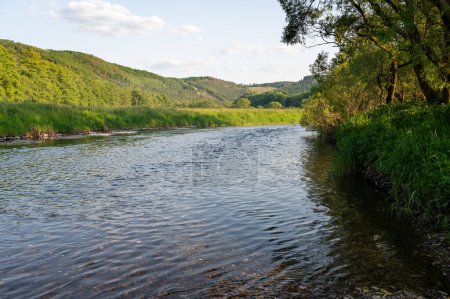 Die Eder - ein Fluss in Deutschland in grüner Landschaft