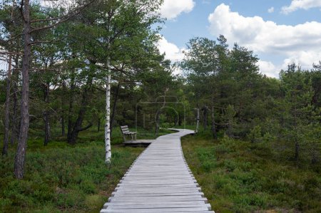 Black Moor in the Rhoen, Bavaria, Germany, with a new wooden path