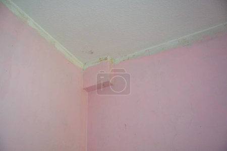 Foto de Paredes rosadas con techo de un apartamento durante la renovación - Imagen libre de derechos