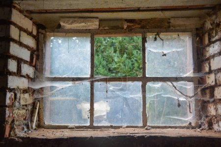Altes Kellerfenster mit Spinnennetzen, Blick nach draußen und einer fehlenden Glasscheibe