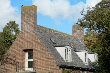 Maison toit avec cheminée aux Pays-Bas avec arbre et ciel bleu