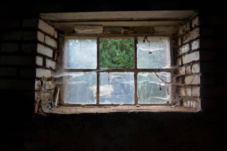 Altes Kellerfenster mit Spinnennetzen, Blick nach draußen und einer fehlenden Glasscheibe