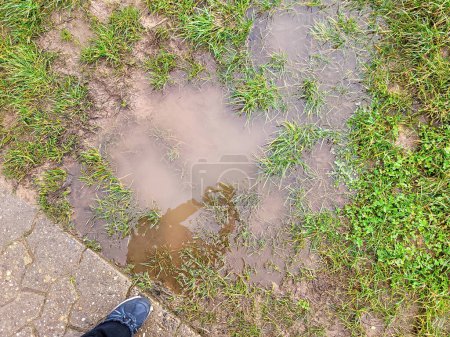 Puddle after continuous rain in nature with green grass