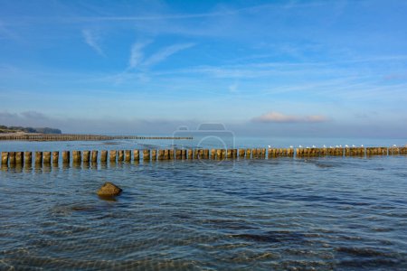 Idylle an der Ostsee - hölzerne Wellenbrecher im Wasser, mit Möwen und blauem Himmel