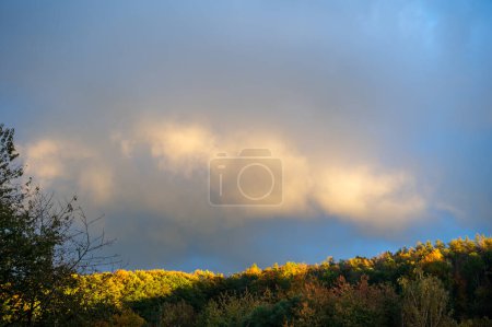 Foto de Nube en el cielo en el sol de la tarde sobre un bosque verde - Imagen libre de derechos