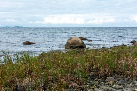 Big stones lie in the water on the Baltic Sea coast, with waves and grass