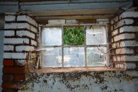 Old cellar window with spider webs, view outside and a missing pane of glass