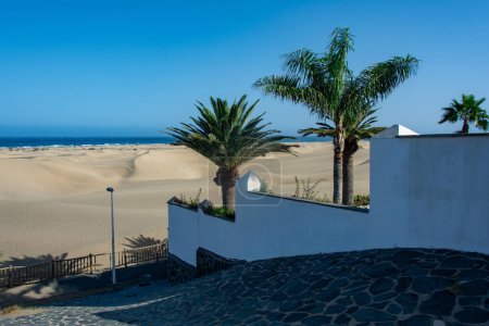 Mur blanc et palmiers sur le chemin de la mer, avec les dunes de sable de Maspalomas sur l'île des Canaries de Gran Canaria en Espagne