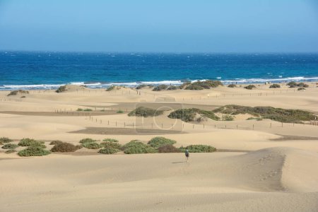 Plage de sable fin et dunes de Maspalomas sur Gran Canaria en Espagne. Vue sur la mer, avec ciel bleu. Les immenses dunes de sable ressemblent à un petit désert et sont une réserve naturelle.
