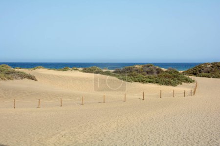 Dans les dunes de Maspalomas sur Gran Canaria en Espagne. Chemin vers la mer, avec ciel bleu. Les immenses dunes de sable ressemblent à un petit désert et sont une réserve naturelle