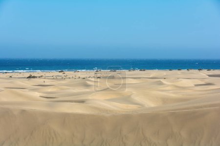 Plage de sable fin et dunes de Maspalomas sur Gran Canaria en Espagne. Vue sur la mer, avec ciel bleu. Les immenses dunes de sable ressemblent à un petit désert et sont une réserve naturelle.