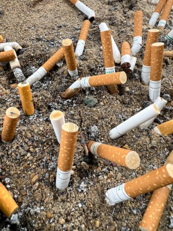 Foto de Pile of cigarettes stuffed in the sand with no care for the environment or climate change. High quality photo - Imagen libre de derechos