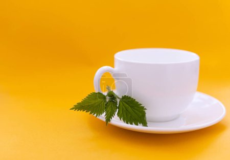 a cup of nettle tea, white cup