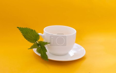 Téléchargez les photos : Une tasse de thé à l'ortie, tasse blanche - en image libre de droit