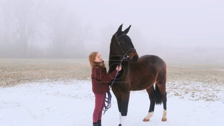 Foto de Una joven y un caballo se paran y miran a lo lejos en la niebla, - Imagen libre de derechos