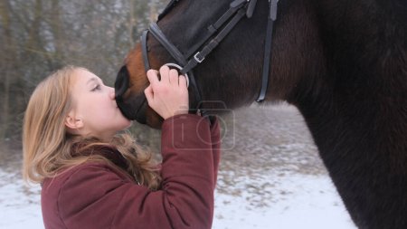Foto de Una hermosa adolescente besa juguetonamente a un caballo marrón en un campo de niebla - Imagen libre de derechos