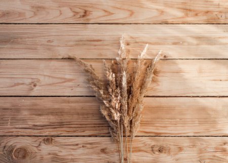 Photo for Dry reed on a wooden background - Royalty Free Image
