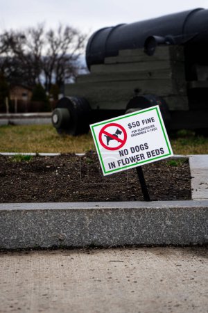 Téléchargez les photos : Un panneau "No Dogs on Garden" payant, mettant l'accent sur la tranquillité sans animaux et la réglementation des espaces verts - en image libre de droit