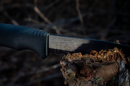 Photo for A black and green bushcraft survival knife out in the wilderness lodged in a fallen tree trunk - Royalty Free Image