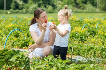 Mère et petit enfant cueillant des fraises à la ferme autocueillette. Concept de récolte. Choisis ta propre ferme. Cultures saines et écologiques.