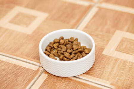 Téléchargez les photos : Bol plein de granulés de nourriture sèche pour chat sur le sol en tuiles à motifs, attendant animal de compagnie affamé. - en image libre de droit