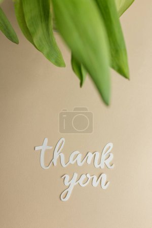 Green leaves in soft focus with thank you note present a natural and artistic expression of gratitude on beige background.