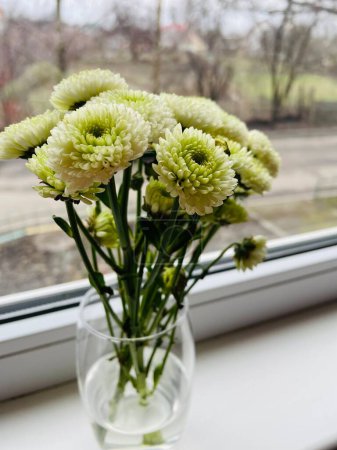 Photo for Flowers, window, nature, spring, life, beautiful - Royalty Free Image