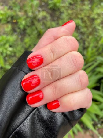 Photo for Manicure, red, bright, nails, fingers, varnish, color, spring, hand, woman, girl - Royalty Free Image