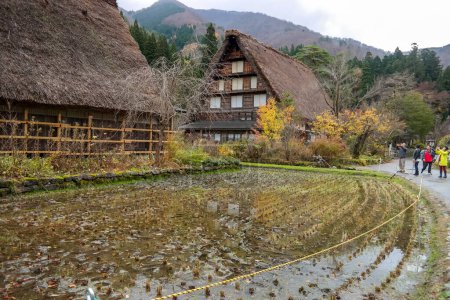 Foto de Japón 2015 Nov 22, Casas de campo con techo de paja muy único bajo el cielo azul. El pueblo histórico de Shirakawa-go. pueblo tradicional japonés en shirakawago, Japón - Imagen libre de derechos