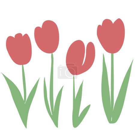 Téléchargez les illustrations : Fleurs de tulipes isolées sur blanc - en licence libre de droit