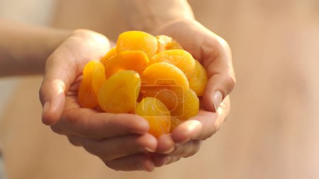 Téléchargez les photos : Close-up view of fresh apricots. Woman holding a pile of fresh apricots. - en image libre de droit