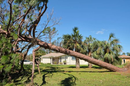 Téléchargez les photos : Toit endommagé avec bardeaux manquants après l'ouragan Ian en Floride. Conséquences des catastrophes naturelles - en image libre de droit