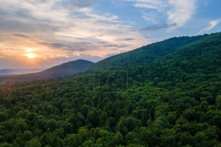 Photo for Aerial view of green pine forest with dark spruce trees covering mountain hills at sunset. Nothern woodland scenery from above. - Royalty Free Image